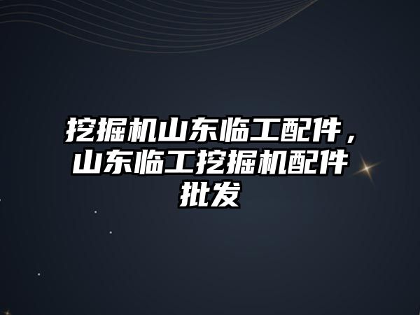 挖掘機山東臨工配件，山東臨工挖掘機配件批發(fā)