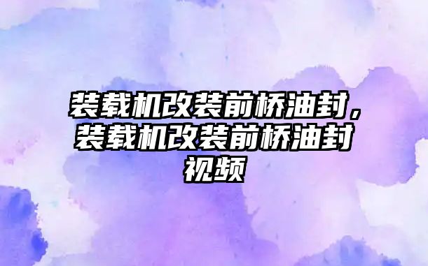 裝載機改裝前橋油封，裝載機改裝前橋油封視頻