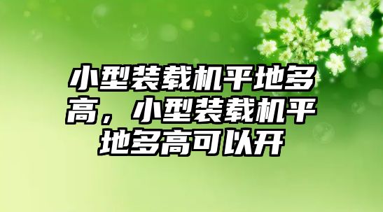 小型裝載機平地多高，小型裝載機平地多高可以開