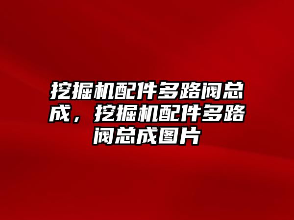 挖掘機配件多路閥總成，挖掘機配件多路閥總成圖片