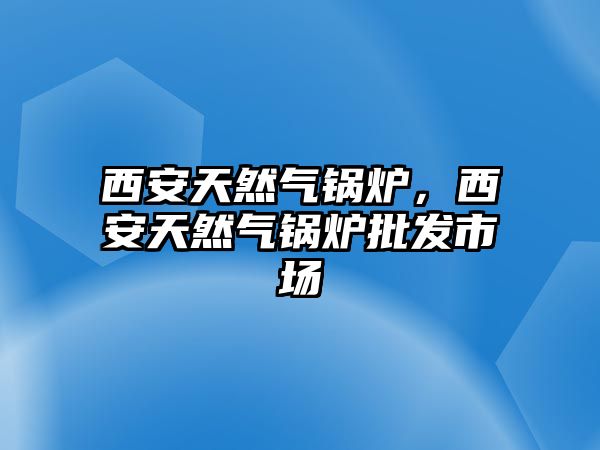 西安天然氣鍋爐，西安天然氣鍋爐批發(fā)市場