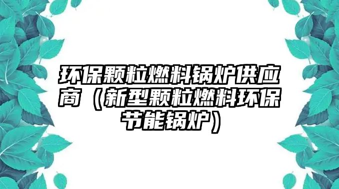 環(huán)保顆粒燃料鍋爐供應(yīng)商（新型顆粒燃料環(huán)保節(jié)能鍋爐）