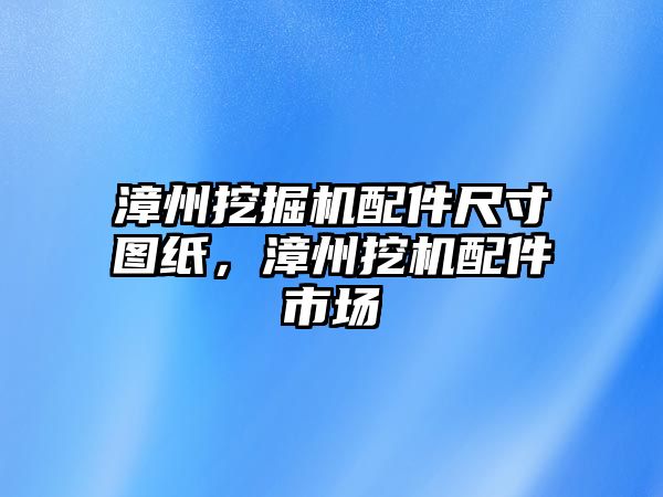 漳州挖掘機配件尺寸圖紙，漳州挖機配件市場