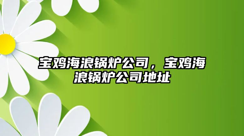 寶雞海浪鍋爐公司，寶雞海浪鍋爐公司地址