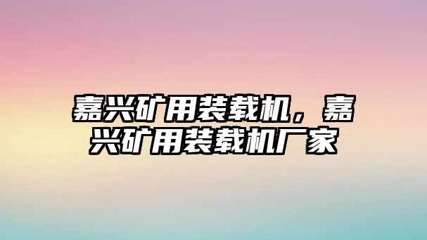 嘉興礦用裝載機(jī)，嘉興礦用裝載機(jī)廠家