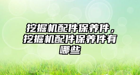 挖掘機配件保養(yǎng)件，挖掘機配件保養(yǎng)件有哪些