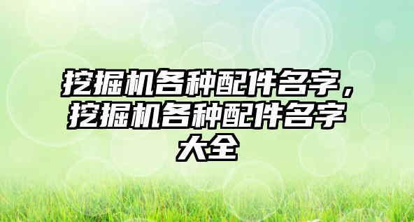 挖掘機各種配件名字，挖掘機各種配件名字大全