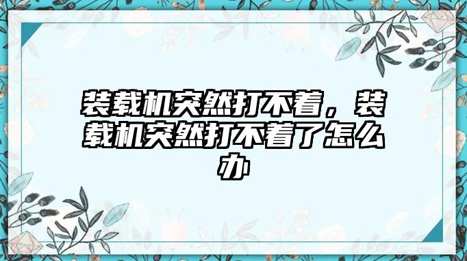 裝載機(jī)突然打不著，裝載機(jī)突然打不著了怎么辦