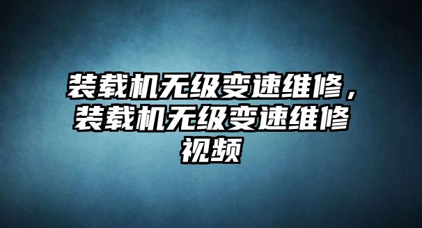 裝載機無級變速維修，裝載機無級變速維修視頻