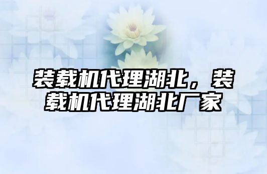 裝載機代理湖北，裝載機代理湖北廠家