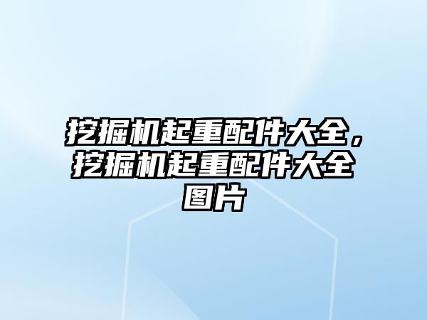 挖掘機起重配件大全，挖掘機起重配件大全圖片