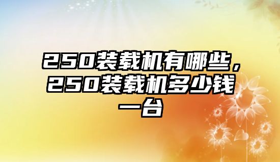 250裝載機有哪些，250裝載機多少錢一臺