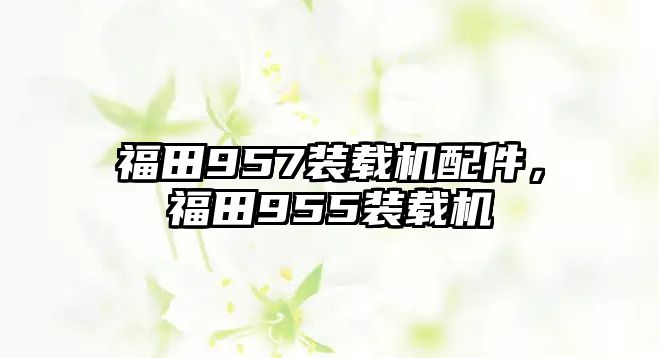 福田957裝載機(jī)配件，福田955裝載機(jī)