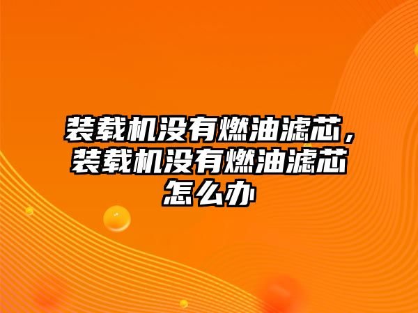 裝載機沒有燃油濾芯，裝載機沒有燃油濾芯怎么辦