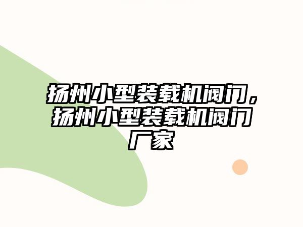 揚州小型裝載機閥門，揚州小型裝載機閥門廠家