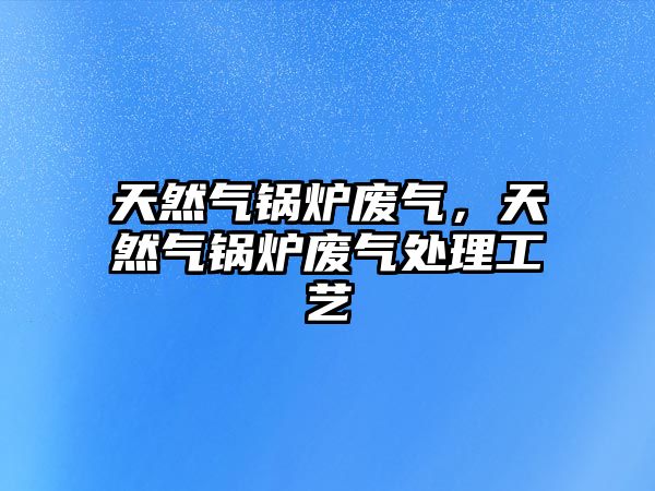 天然氣鍋爐廢氣，天然氣鍋爐廢氣處理工藝