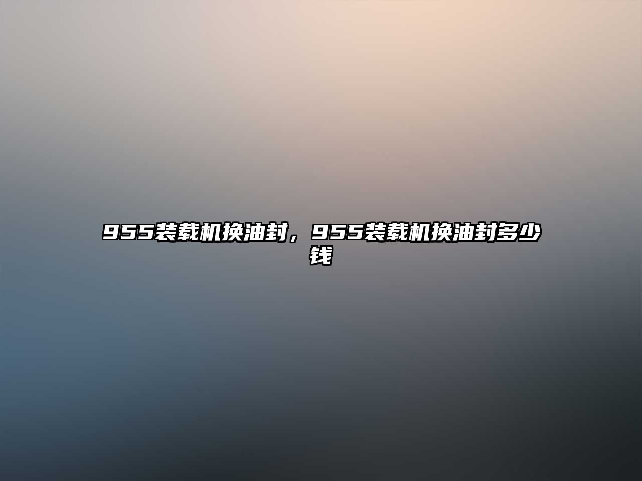 955裝載機換油封，955裝載機換油封多少錢