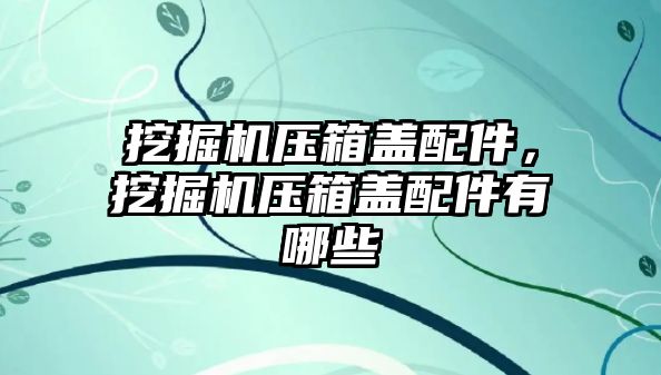 挖掘機壓箱蓋配件，挖掘機壓箱蓋配件有哪些