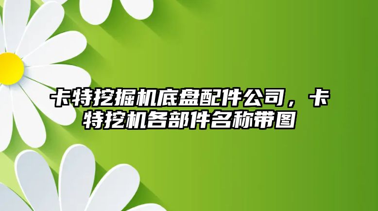 卡特挖掘機底盤配件公司，卡特挖機各部件名稱帶圖