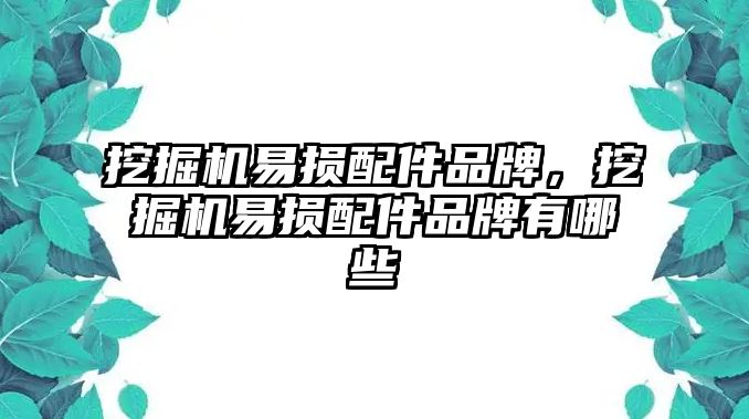 挖掘機(jī)易損配件品牌，挖掘機(jī)易損配件品牌有哪些