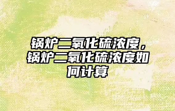 鍋爐二氧化硫濃度，鍋爐二氧化硫濃度如何計算