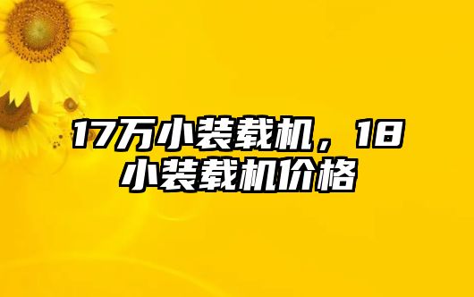 17萬小裝載機，18小裝載機價格