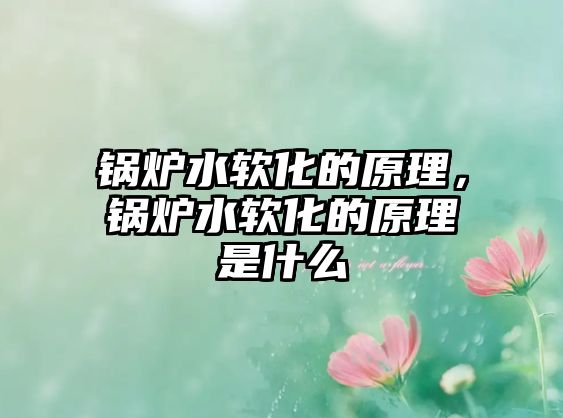 鍋爐水軟化的原理，鍋爐水軟化的原理是什么