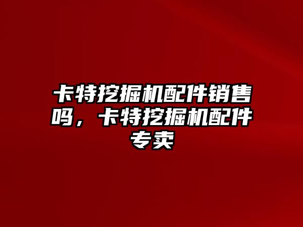 卡特挖掘機配件銷售嗎，卡特挖掘機配件專賣