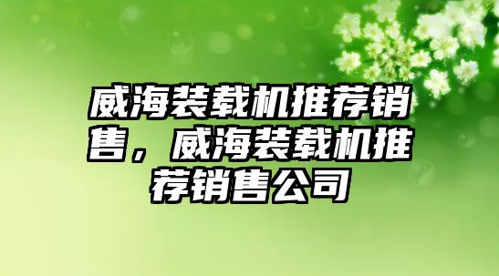 威海裝載機(jī)推薦銷售，威海裝載機(jī)推薦銷售公司