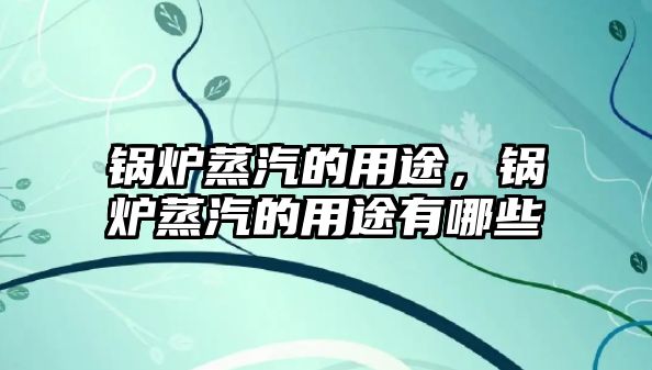 鍋爐蒸汽的用途，鍋爐蒸汽的用途有哪些