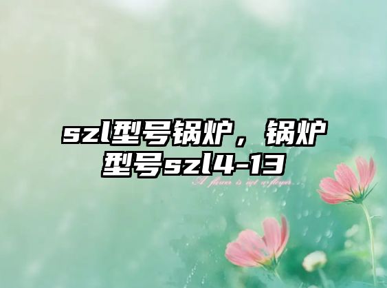 szl型號(hào)鍋爐，鍋爐型號(hào)szl4-13