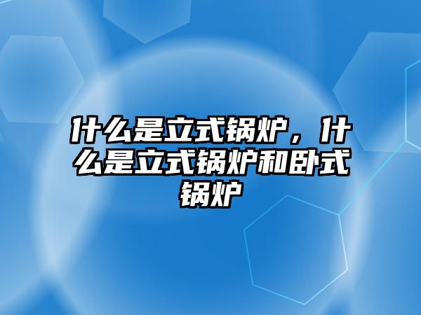 什么是立式鍋爐，什么是立式鍋爐和臥式鍋爐