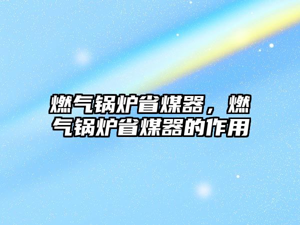 燃?xì)忮仩t省煤器，燃?xì)忮仩t省煤器的作用