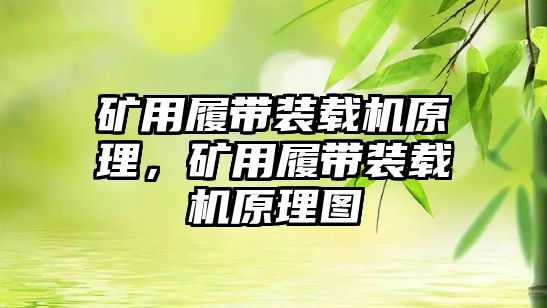 礦用履帶裝載機原理，礦用履帶裝載機原理圖