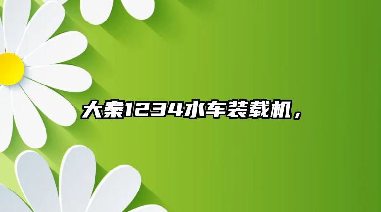 大秦1234水車裝載機，