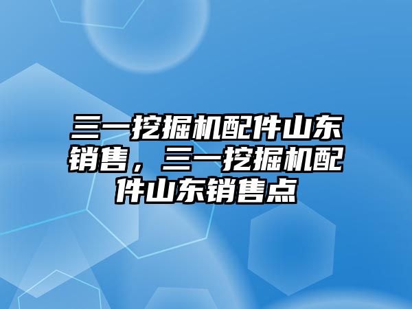 三一挖掘機配件山東銷售，三一挖掘機配件山東銷售點