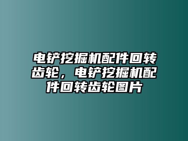 電鏟挖掘機配件回轉(zhuǎn)齒輪，電鏟挖掘機配件回轉(zhuǎn)齒輪圖片