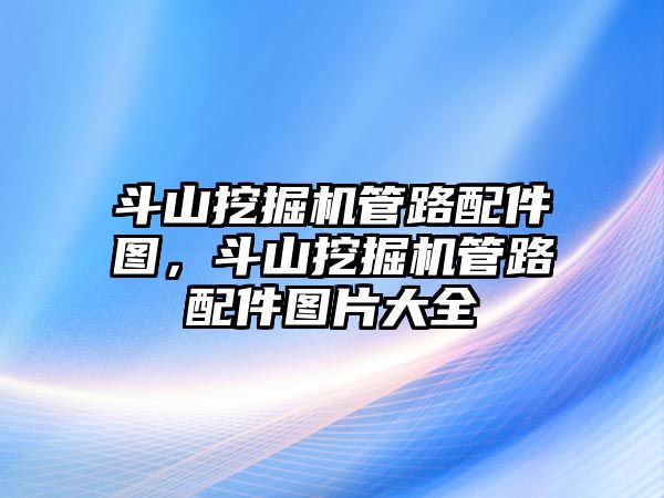 斗山挖掘機(jī)管路配件圖，斗山挖掘機(jī)管路配件圖片大全