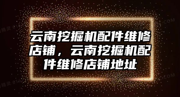 云南挖掘機(jī)配件維修店鋪，云南挖掘機(jī)配件維修店鋪地址