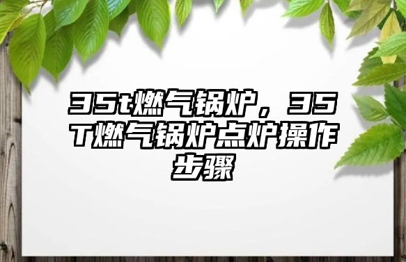 35t燃?xì)忮仩t，35T燃?xì)忮仩t點(diǎn)爐操作步驟