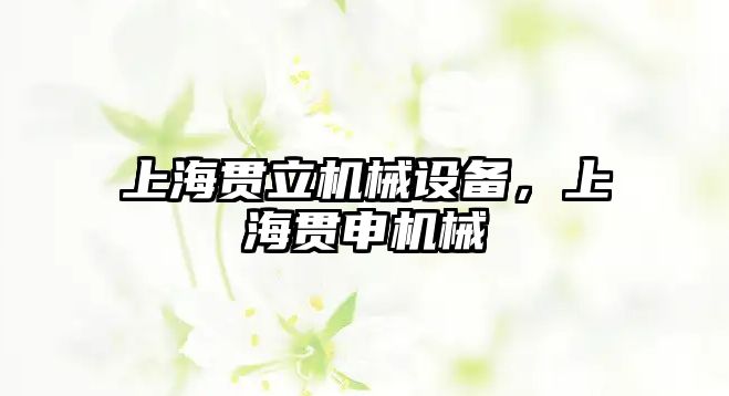 上海貫立機械設(shè)備，上海貫申機械