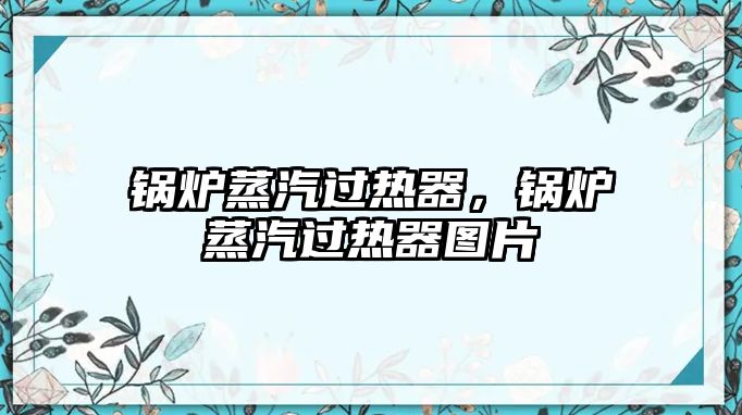 鍋爐蒸汽過熱器，鍋爐蒸汽過熱器圖片