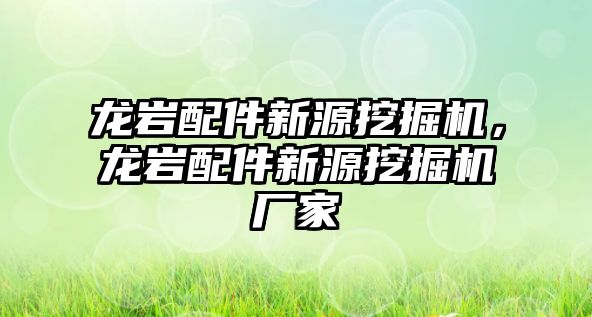 龍巖配件新源挖掘機，龍巖配件新源挖掘機廠家