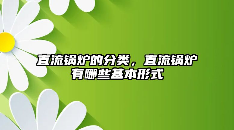 直流鍋爐的分類，直流鍋爐有哪些基本形式