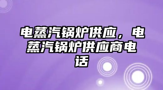 電蒸汽鍋爐供應(yīng)，電蒸汽鍋爐供應(yīng)商電話