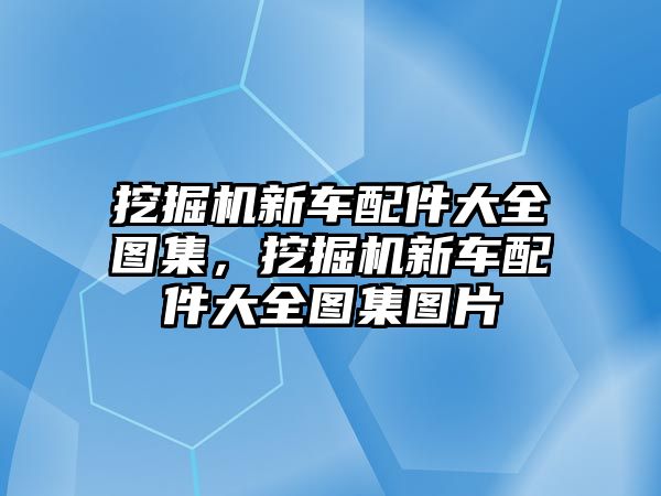 挖掘機新車配件大全圖集，挖掘機新車配件大全圖集圖片