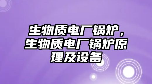 生物質(zhì)電廠鍋爐，生物質(zhì)電廠鍋爐原理及設(shè)備