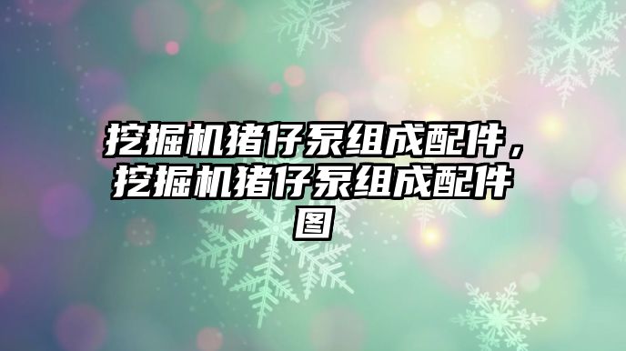 挖掘機豬仔泵組成配件，挖掘機豬仔泵組成配件圖