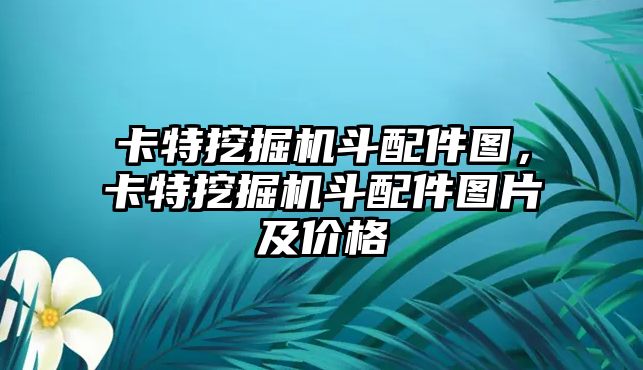 卡特挖掘機斗配件圖，卡特挖掘機斗配件圖片及價格