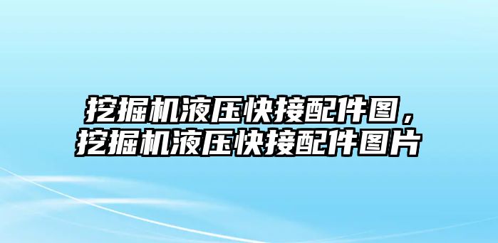 挖掘機液壓快接配件圖，挖掘機液壓快接配件圖片